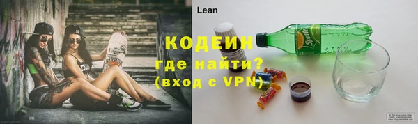 шишки Губаха