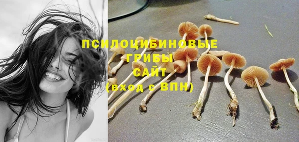 дживик Белокуриха