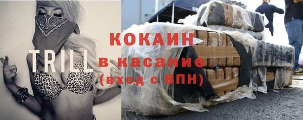 дживик Белокуриха