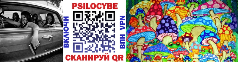 Псилоцибиновые грибы Psilocybe  что такое   Гремячинск 